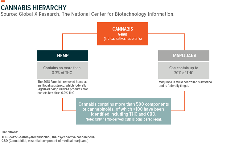 Cannabis Thc Content Chart